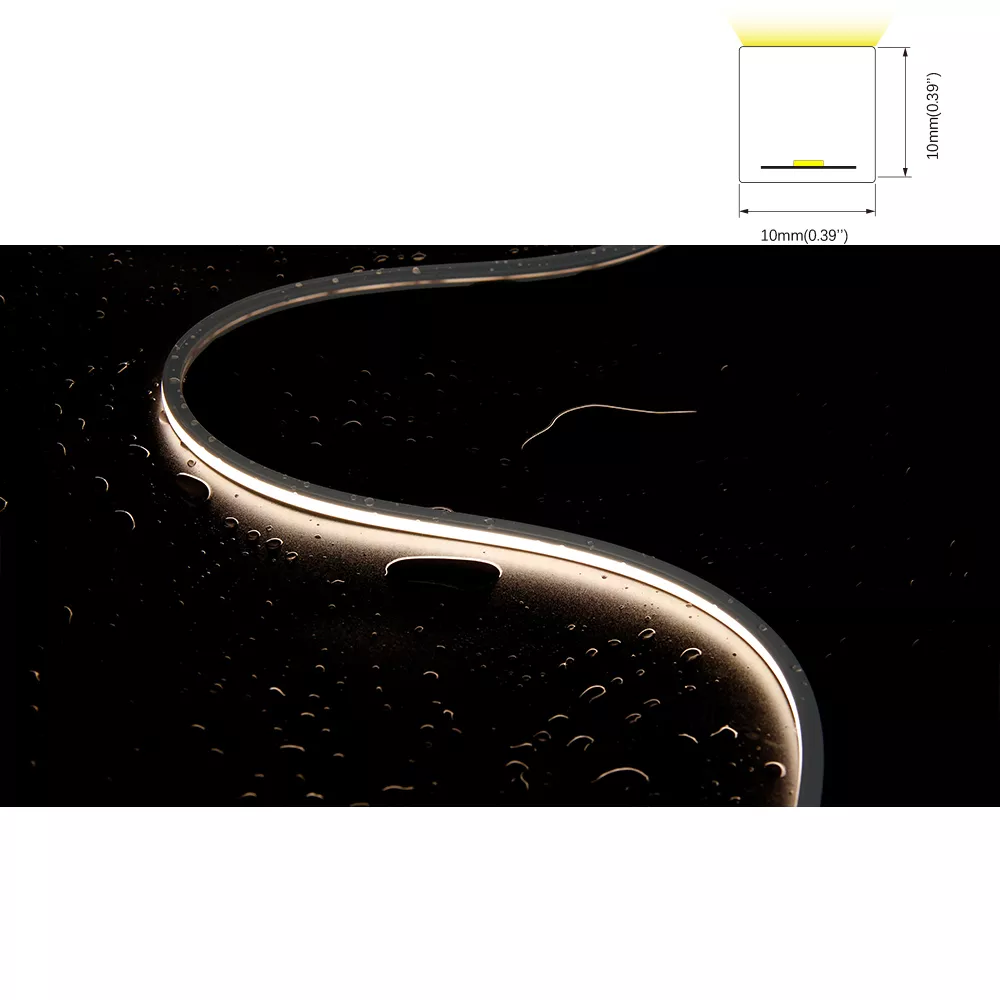 DL-N010010