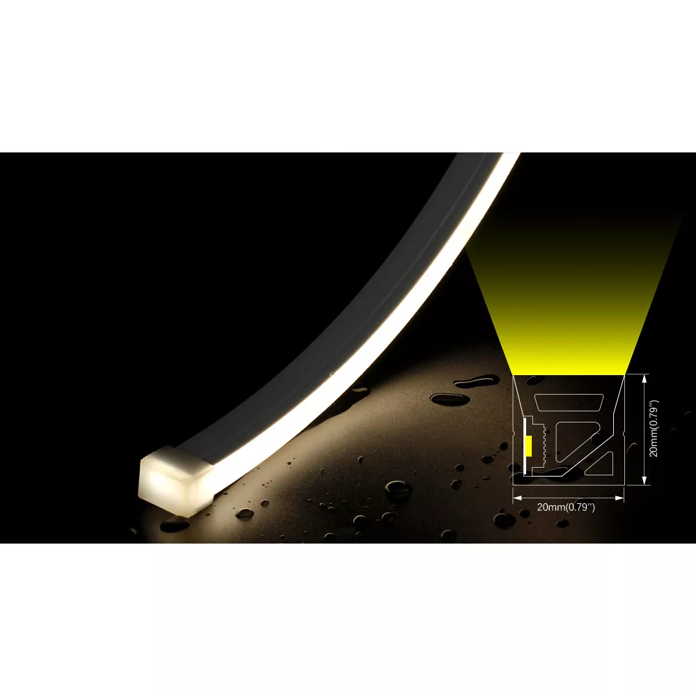 DL-N020020C نيون LED مرن